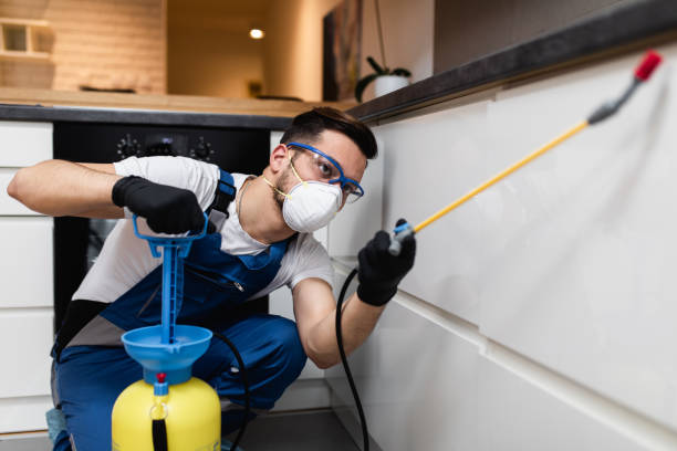 Best Wasp Removal Services  in Skidway Lake, MI