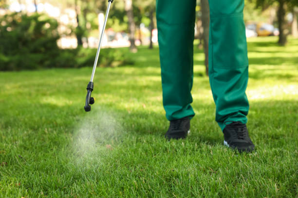 Best Wildlife Control Services  in Skidway Lake, MI