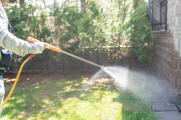 Best Ant Control Services  in Skidway Lake, MI