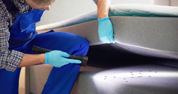 Best Commercial Pest Control Services  in Skidway Lake, MI