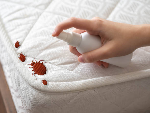 Best Cockroach Control Services  in Skidway Lake, MI