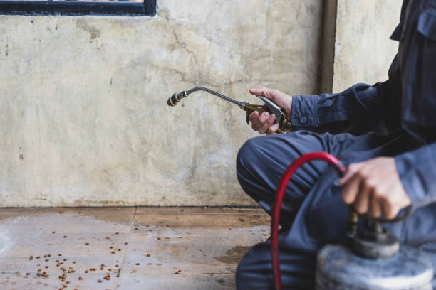 Best Pest Removal Services  in Skidway Lake, MI